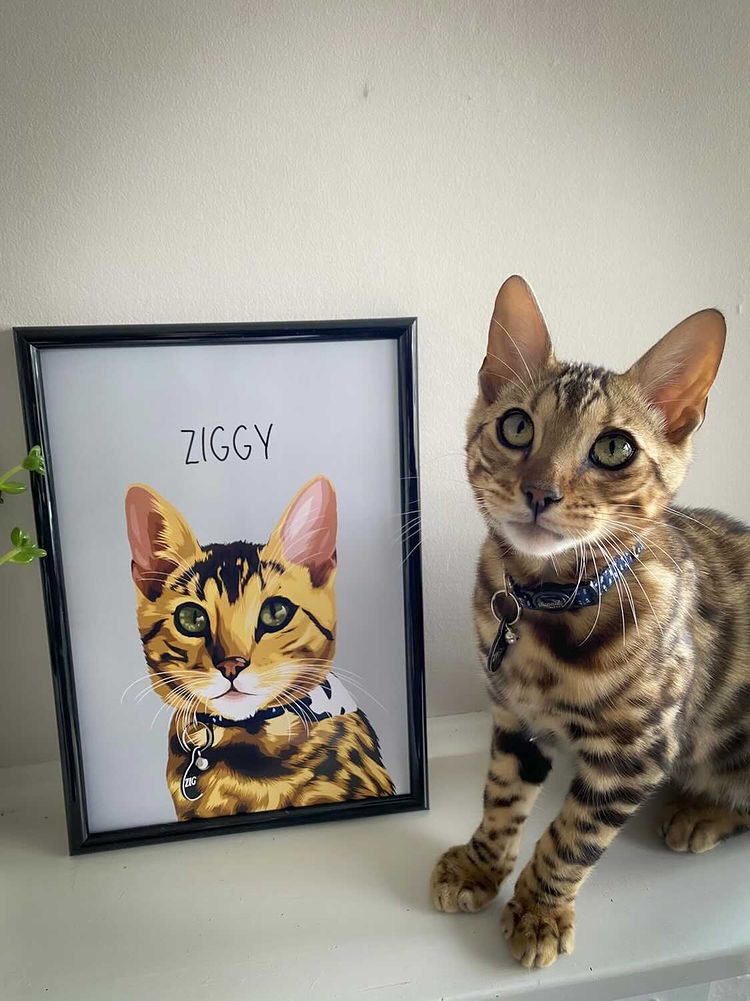 Pawtrait Studio & Prints -  Australia's Leading Pet Portrait Creator