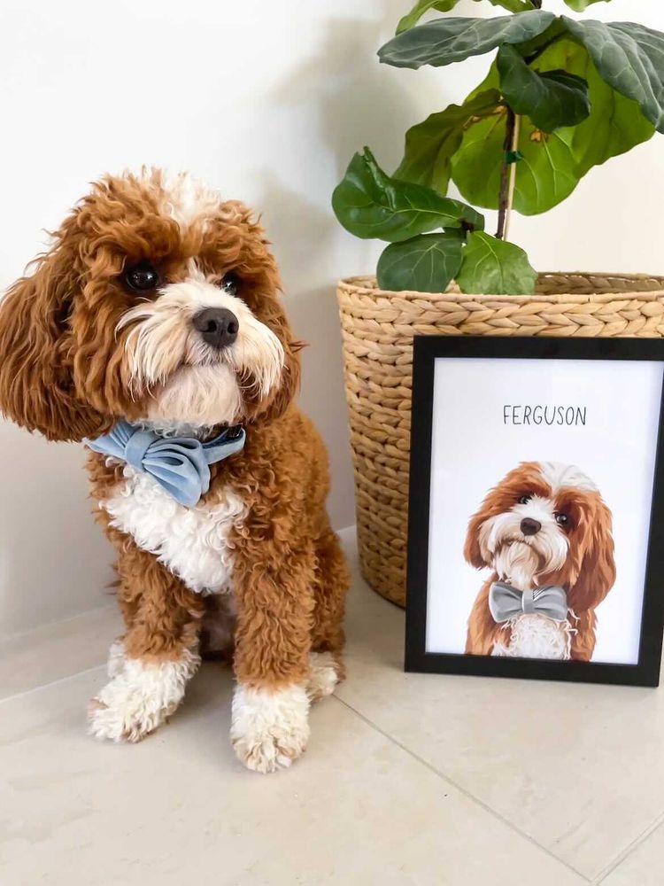 Pawtrait Studio & Prints -  Australia's Leading Pet Portrait Creator