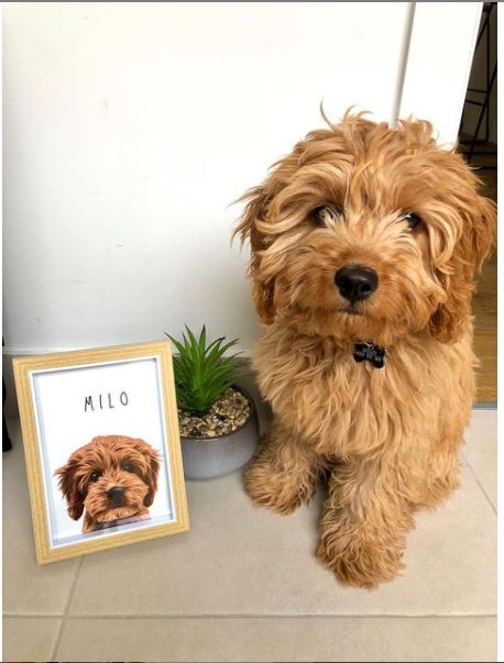 Pawtrait Studio & Prints -  Australia's Leading Pet Portrait Creator